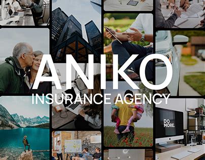 aniko insurance agency brighton ma